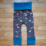 Bears