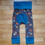 Bears