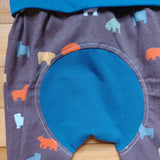 Bears