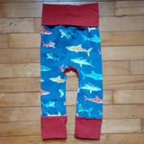 Sharks, multi