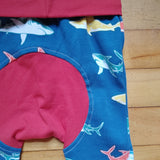 Sharks, multi
