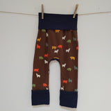Bears