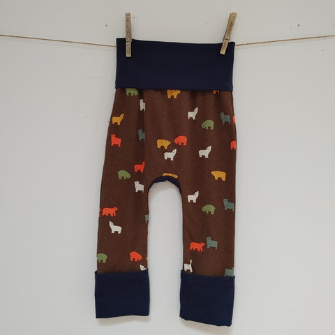 Bears